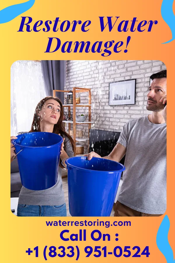 water restoration Platinum Storm Recovery Masters Dandridge