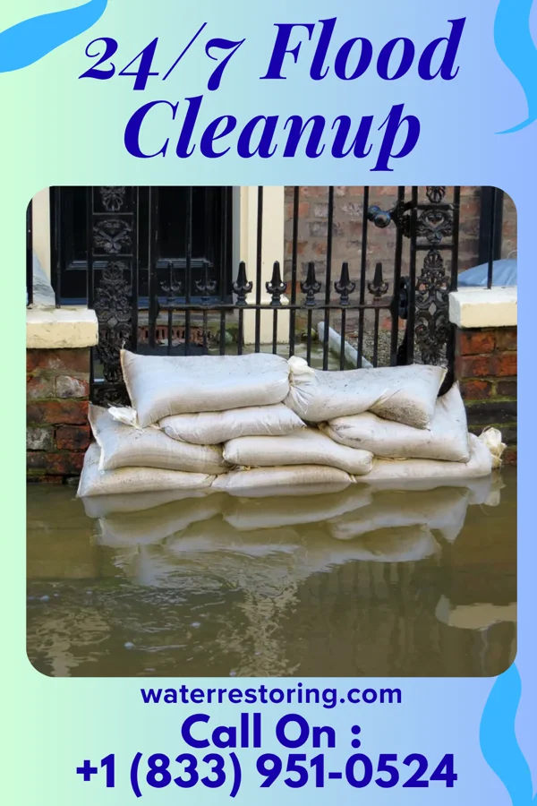24/7 Flood Cleanup in Dandridge, TN