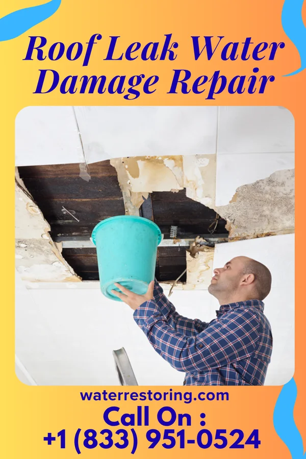 Roof Leak Water Damage Repair in Dandridge, TN