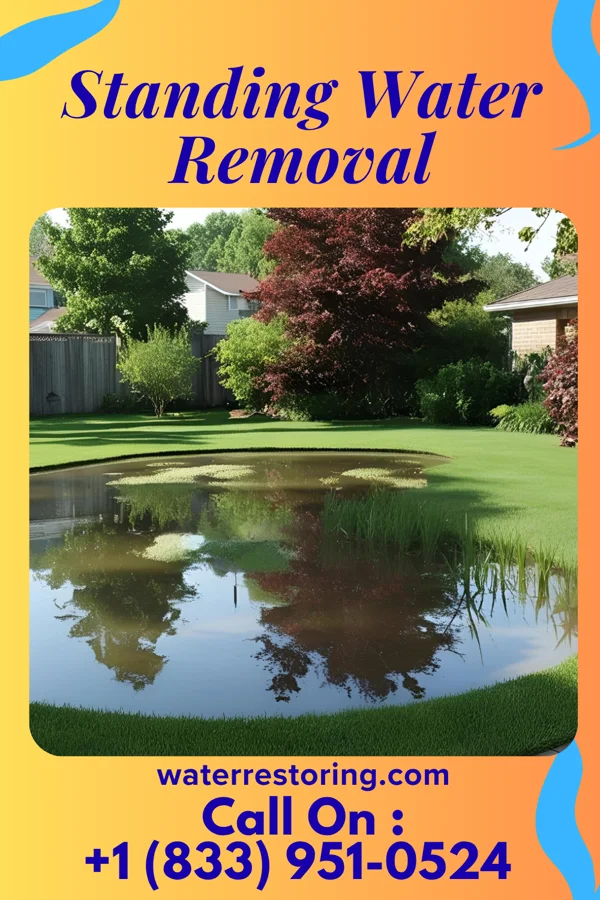 Standing Water Removal in Dandridge, TN